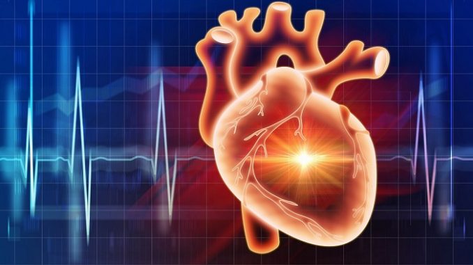 Учащенное сердцебиение называют тахикардией Учащенное сердцебиение называют тахикардией